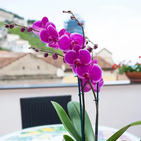 Casa Annalu' In The Historic Center Of With 90 Steps And Sea View Ferienhaus *